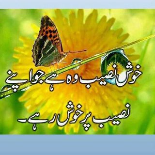 Profile Picture of Mohammad Yaqub (@Mohammad-Yaqub) on Facebook