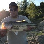 Profile Picture of Keith Weber (@krweber94) on Instagram