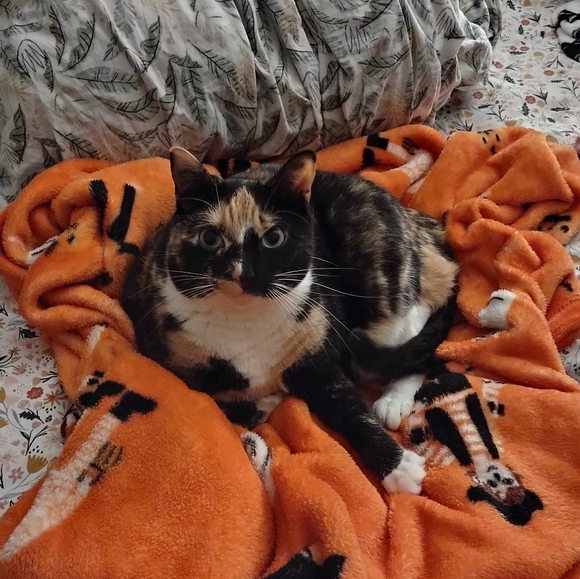 Profile Picture of Olivia Pugh (@weevia311) on Poshmark