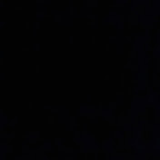 Profile Picture of Mendel Vestering (@mendelvestering604) on Youtube