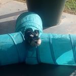 Profile Picture of Maureen Sayers (@laurie.sayers) on Instagram