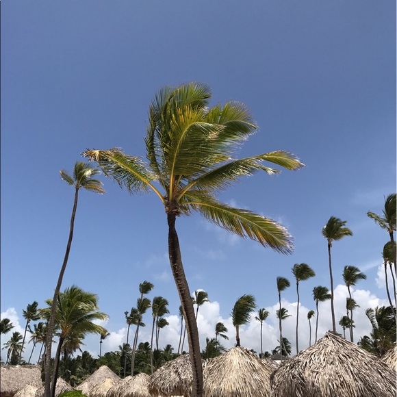 Profile Picture of Katy Restelli (@clearwaterkm11) on Poshmark