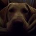 Profile Picture of Abby Marie Schultz (@abbymarie.schultz) on Facebook