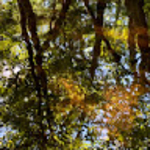 Profile Picture of Kenneth Carmichael (@kencarmichael1) on Poshmark