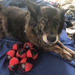 Profile Picture of Lucy Alexander (@otherwiselawabidingjuggler) on Instagram