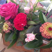 Profile Picture of Nancy Frost (@nancyfrost1715) on Youtube