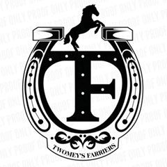 Profile Picture of Joshua Twomey DipWcf (@joshytwomey) on Tiktok