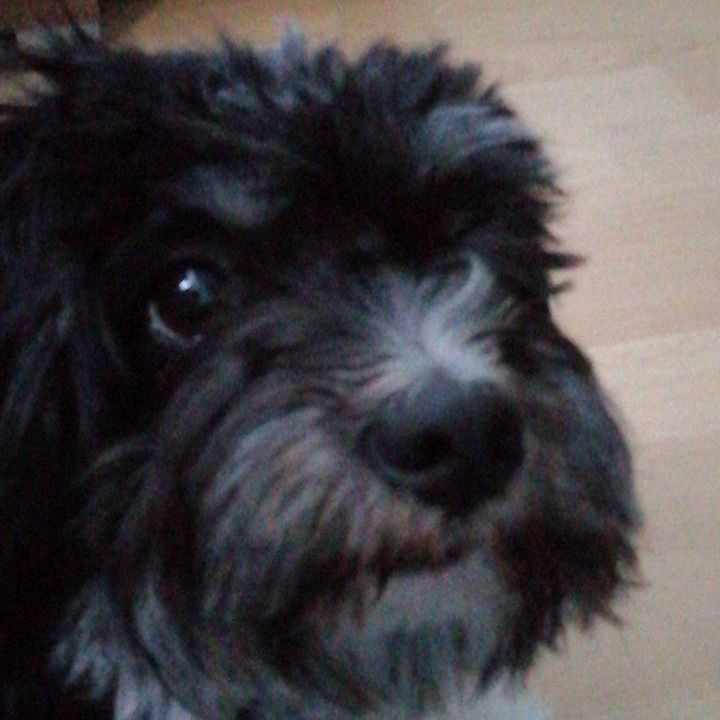 Profile Picture of Buddy share (@buddyvshate) on Tiktok