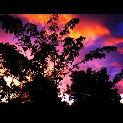 Profile Picture of Silvia (@Cora_8917) on Twitter