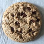 Profile Picture of Jade ブドウ Wu (@tinyherbivore) on Instagram