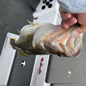 Profile Picture of Sean Brown (@MrDegauss22) on Youtube