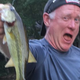 Profile Picture of Mike Quinlan (@quinlan7396) on Pinterest