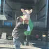 Profile Picture of colleen (@colleenzaleski) on Tiktok