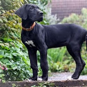 Profile Picture of Jay Travis (@jaytravis3450) on Youtube