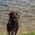 Profile Picture of Jessie Lock (@jessiedog29) on Twitter