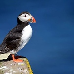 Mike Moon - Flickr Profile Picture of Mike Moon (@mikedm2021) on Flickr