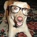 Profile Picture of Jeff Barnes (@barnanimal) on Pinterest