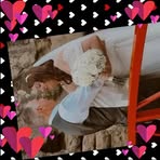 Jodie Quass - Facebook Profile Picture of Jodie Quass (@Jodie-Quass) on Facebook