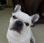 Profile Picture of Diane Westergaard (@diane.westergaard.58) on Facebook