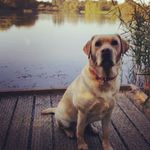 Profile Picture of Sarah Vickers (@sarah.vickers.52012) on Instagram