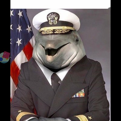 Profile Picture of Robert Cranfill (@ItsaguineaCREW) on Twitter