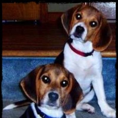 Profile Picture of Janet Strang Sayer (@JanetSSayer) on Twitter