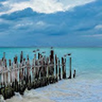 Profile Picture of Josee Bernier (@josee-bernier-3) on Quora