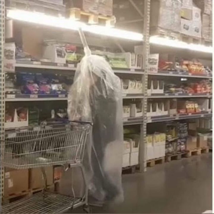 Profile Picture of Gordon Jay (@@honeydewvinewater) on Tiktok