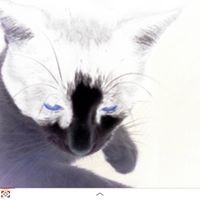 Profile Picture of Kelly Hancock (@kelly-hancock-6) on Quora