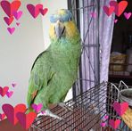 Profile Picture of Dianne Rampaul (@dianne.rampaul1) on Facebook