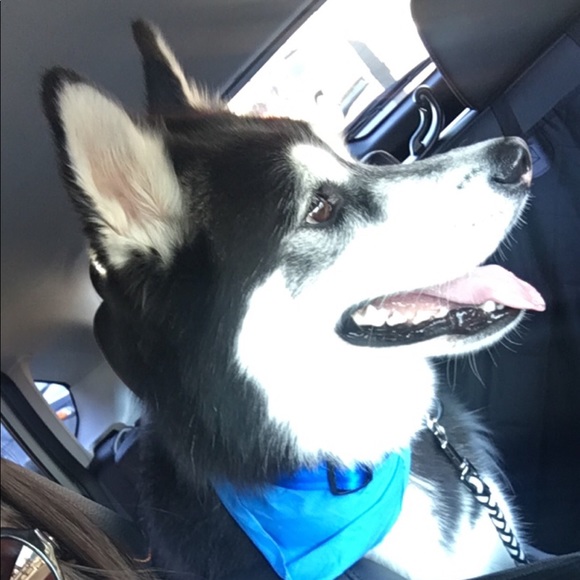 Ashley Moretto - Poshmark Profile Picture of Ashley Moretto (@amoretto1225) on Poshmark