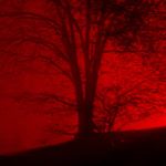 Profile Picture of Garrett Davis (@g2rrett) on Instagram