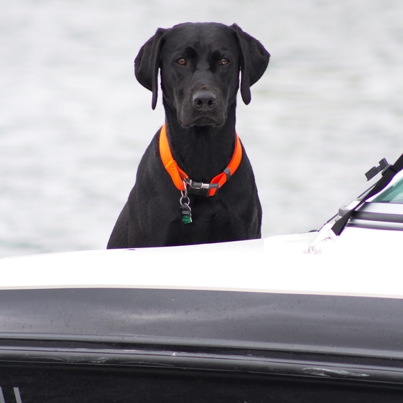 Profile Picture of Brad Anfinson (@bradanfinson) on Poshmark