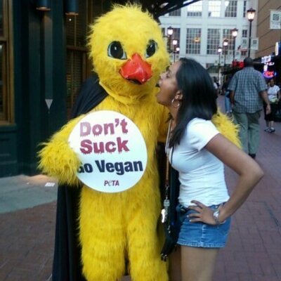 Profile Picture of Chickie Chick (@DC_Chickie) on Twitter