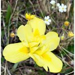 Profile Picture of Lowndes_Daniel (@lowndes_daniel) on Instagram