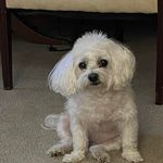 Profile Picture of Judy Keller Cochran (@blessinglane) on Instagram