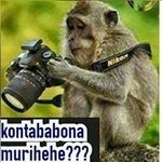 Profile Picture of Daniel Sadock (@danielsadock7) on Instagram