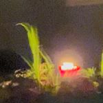 Profile Picture of jacob m. voyles (@nevergodly) on Instagram