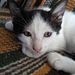 Profile Picture of Luke Zamp (@loukasfil) on Pinterest