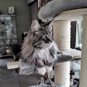 Profile Picture of David Mertens (@davidmertens5535) on Youtube