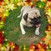 Profile Picture of Amy Headley (@amy.headley.374) on Facebook