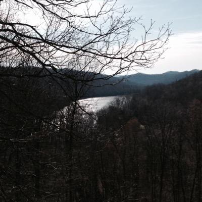Profile Picture of Lori Hutchison (@hutchison_lori) on Twitter