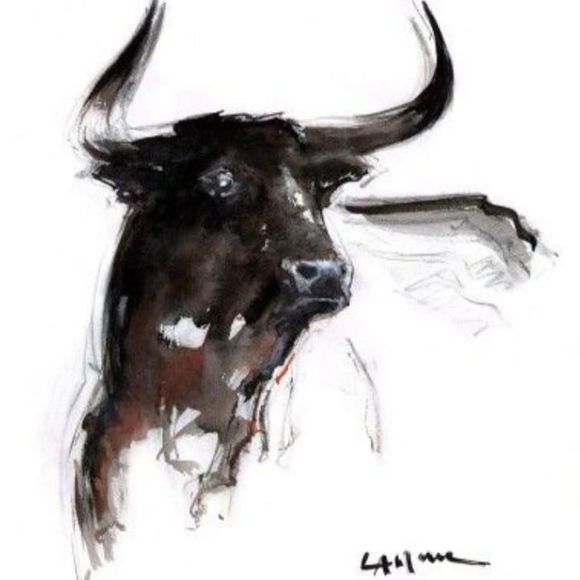 Profile Picture of Nancy Bell (@topcat773) on Poshmark