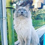 Profile Picture of Sabrina.Coco (@sabrina.coco_) on Instagram