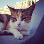 Profile Picture of Daniel Fritzler (@sternenwelle) on Instagram