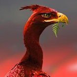 Profile Picture of Michael Vallance (@mikevallance) on Twitter