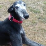 Profile Picture of Carolyn Casey (@carolyncasey4172) on Instagram