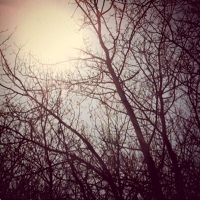 Profile Picture of Anna McQuillan (@birdseyechili) on Twitter
