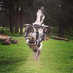 Profile Picture of Blake Watkinson (@steven.8739) on Instagram