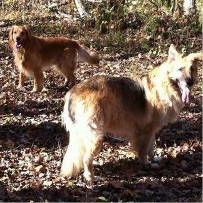 Profile Picture of Staci Scott (@shashilynn2011) on Twitter